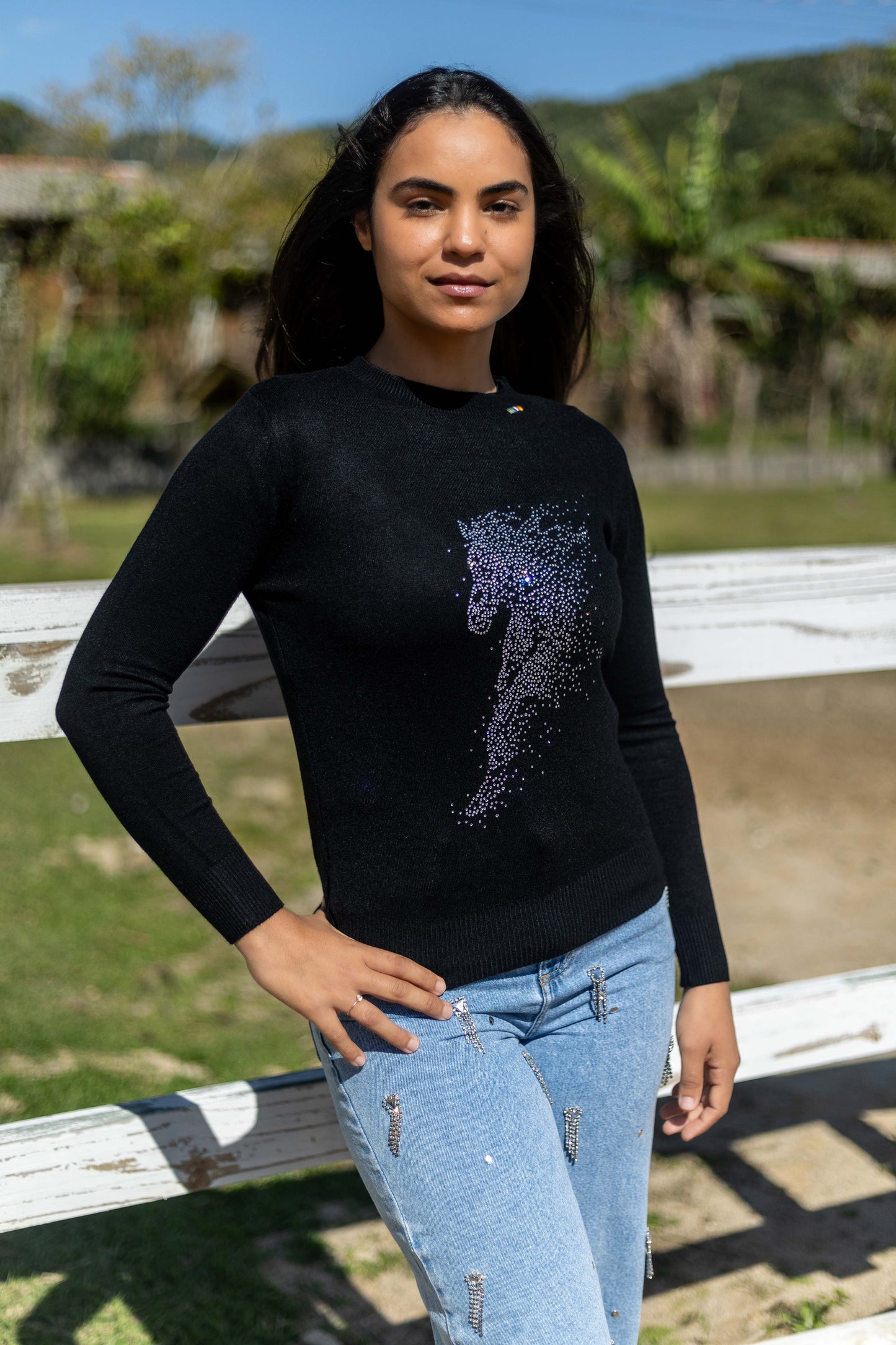 Pullover Careca Strass Cavalo Esvoaçante - Preto