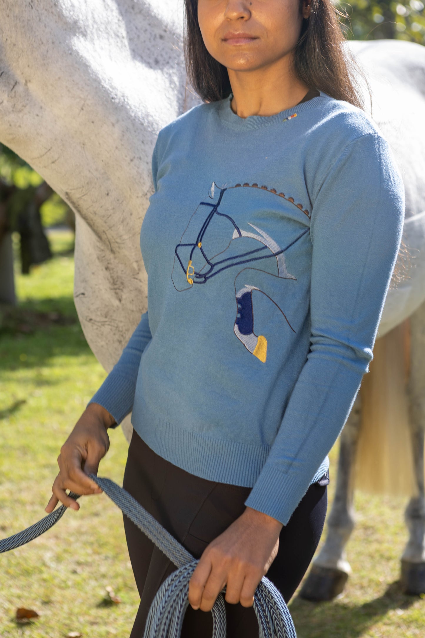 Pullover Careca Cavalo Rédeas - Azul