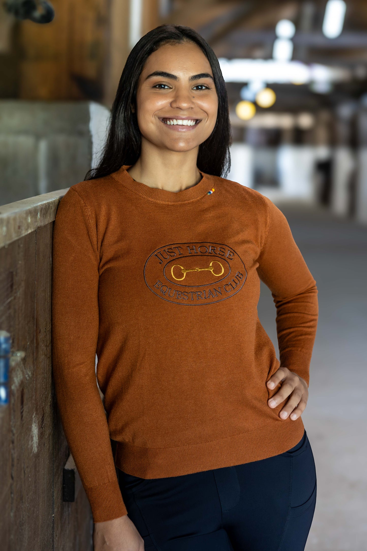 Pullover Careca Emblema Bridão - Ferrugem