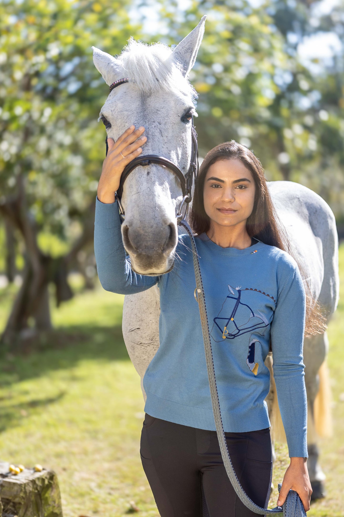 Pullover Careca Cavalo Rédeas - Azul