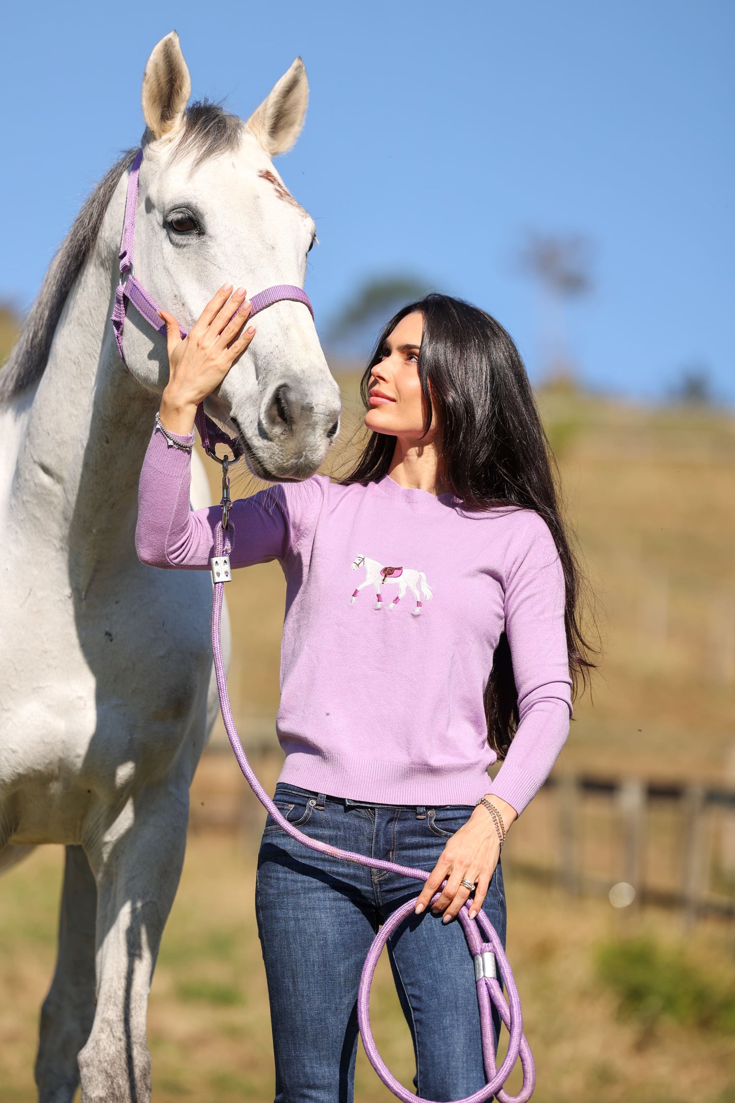 Pullover Careca - Cavalo