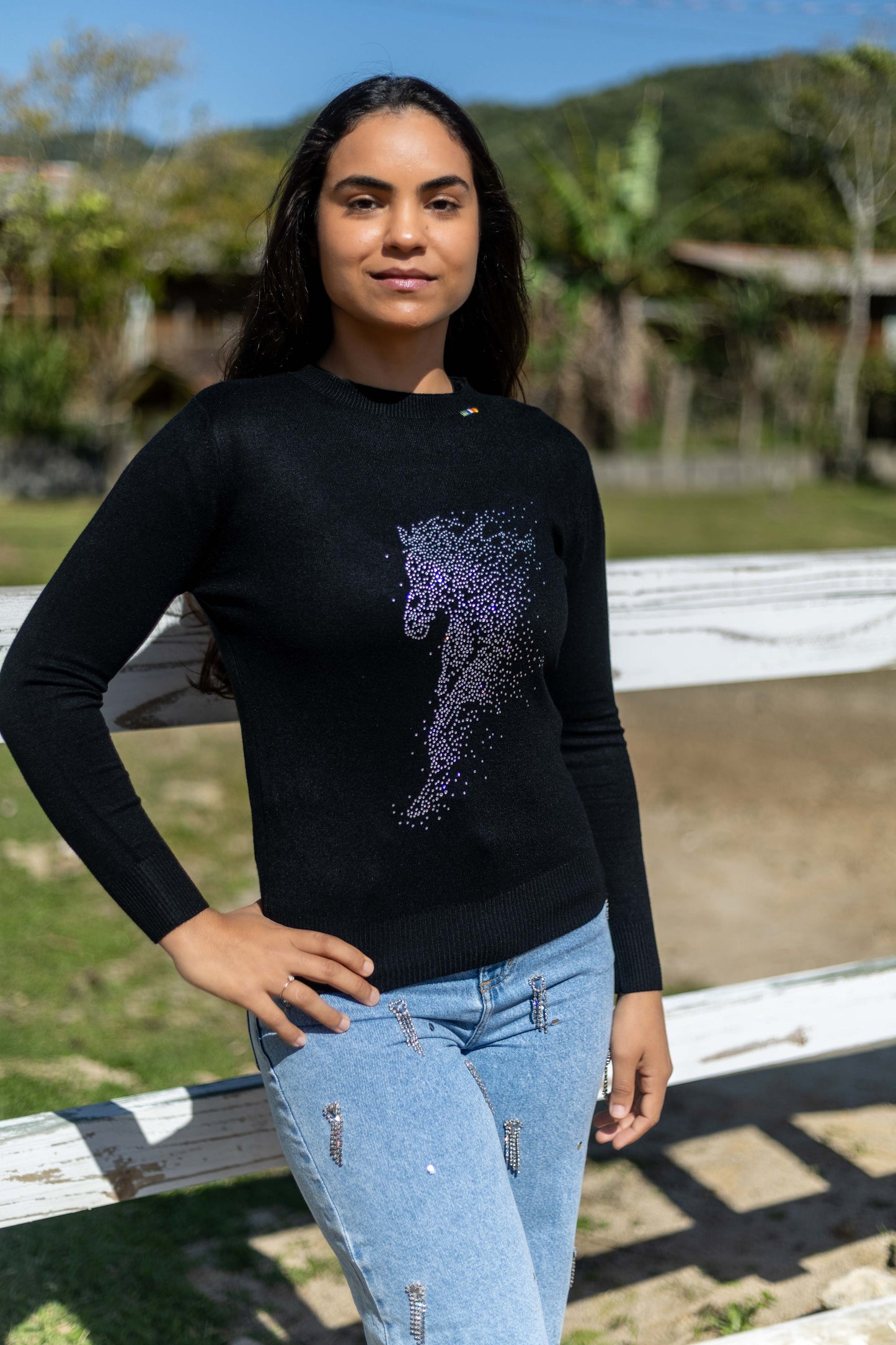 Pullover Careca Strass Cavalo Esvoaçante - Preto