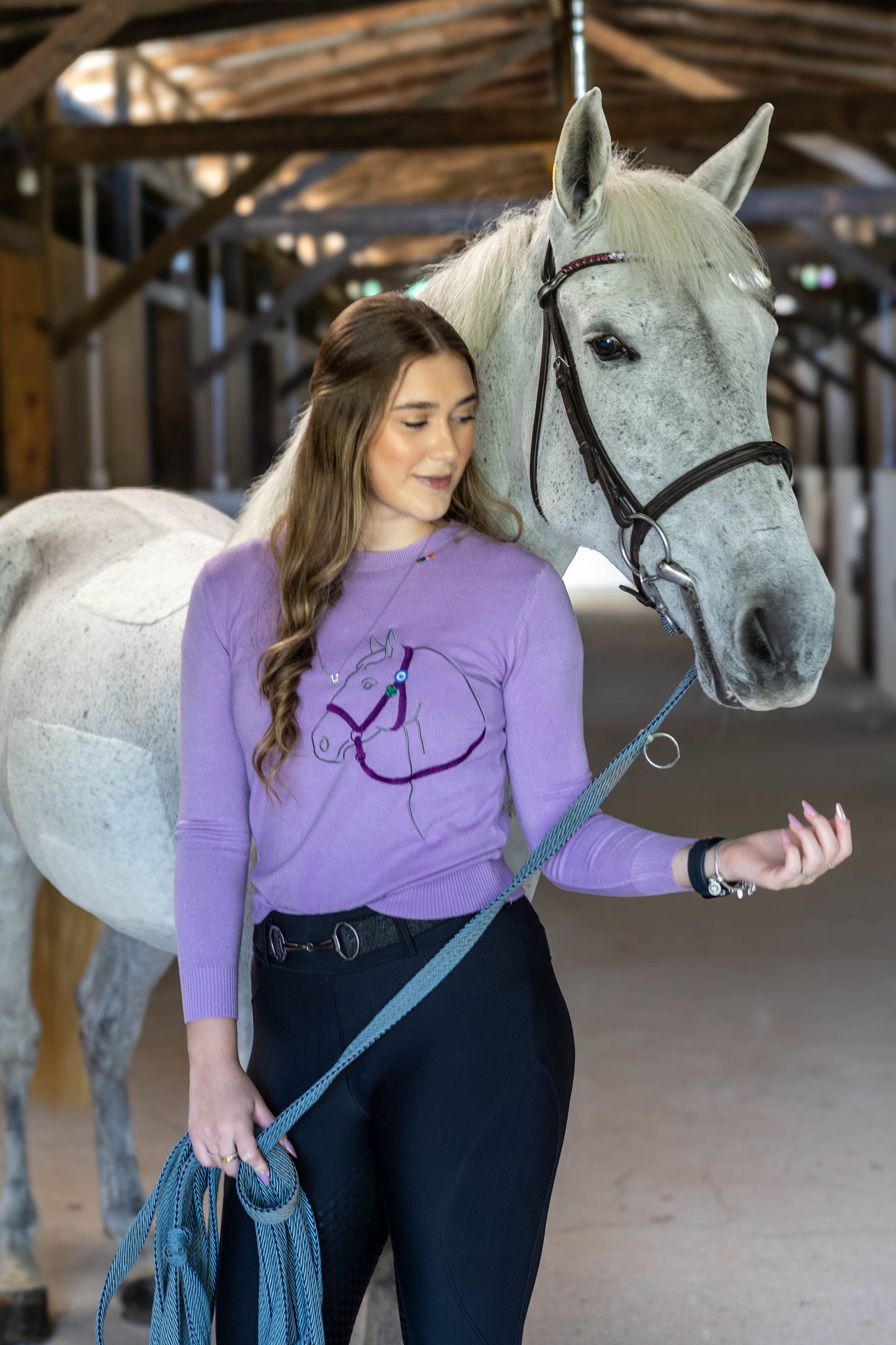 Pullover Careca Cavalo Perfil - Lilás