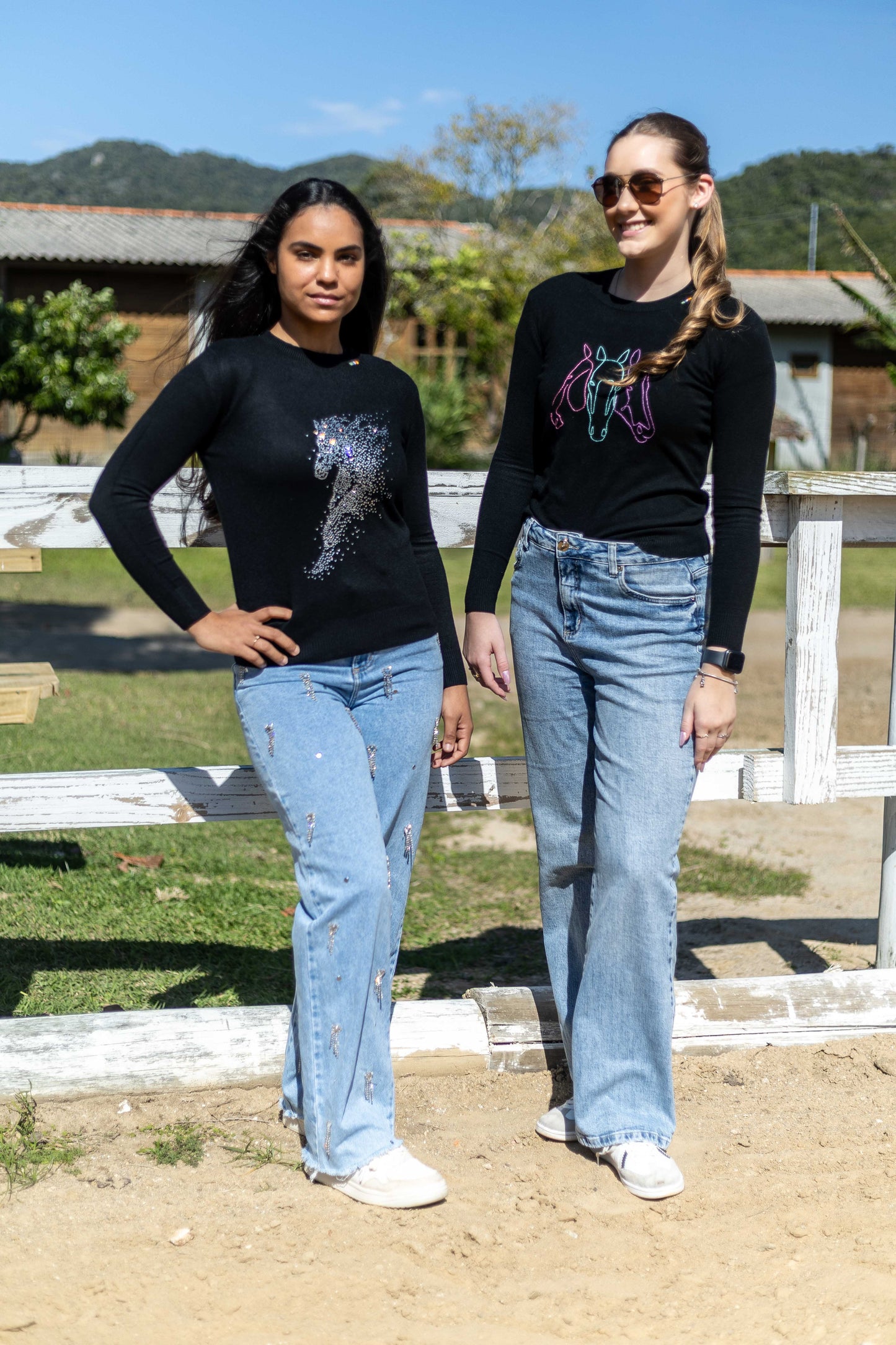 Pullover Careca Strass Cavalo Esvoaçante - Preto