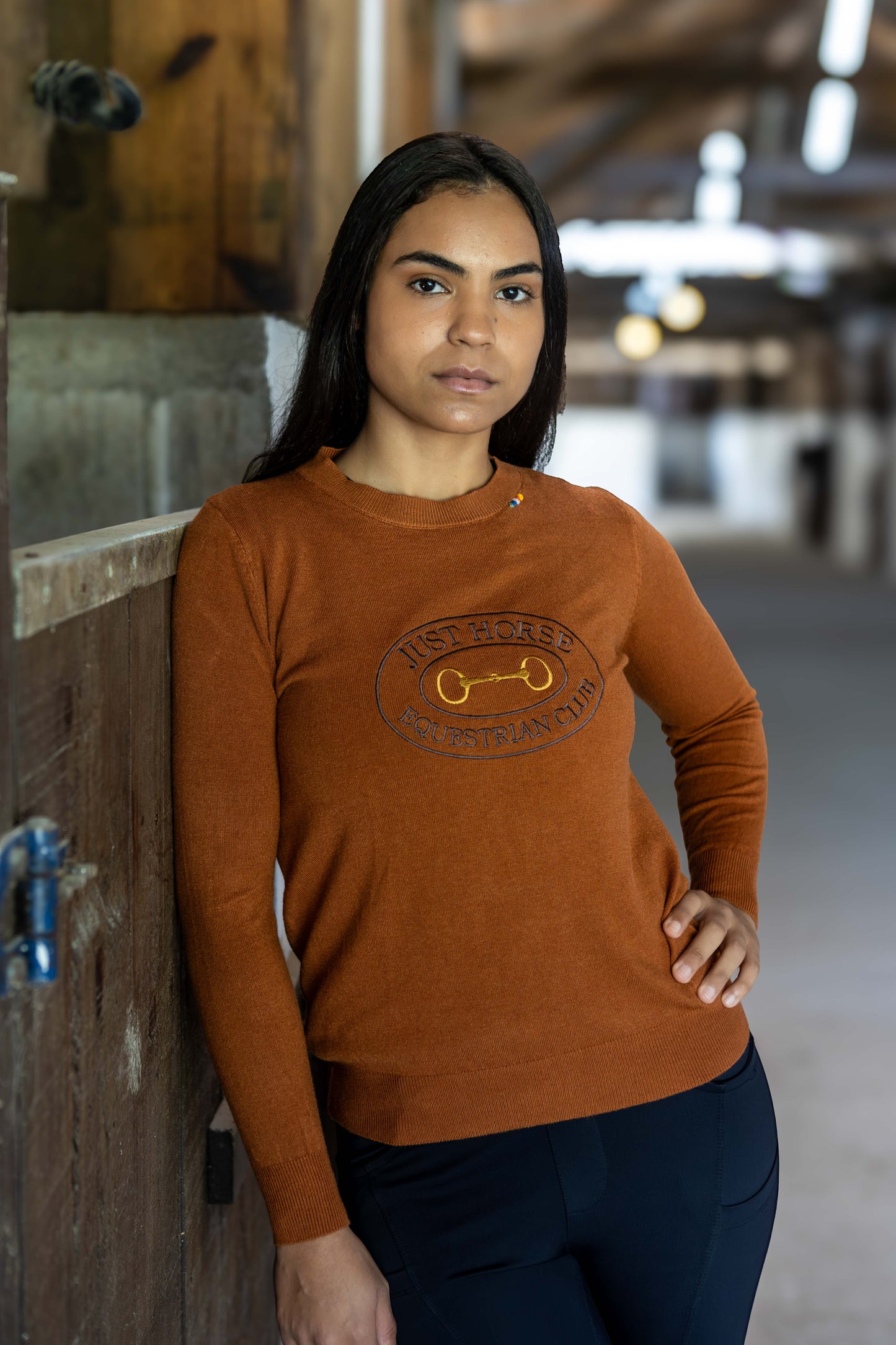 Pullover Careca Emblema Bridão - Ferrugem