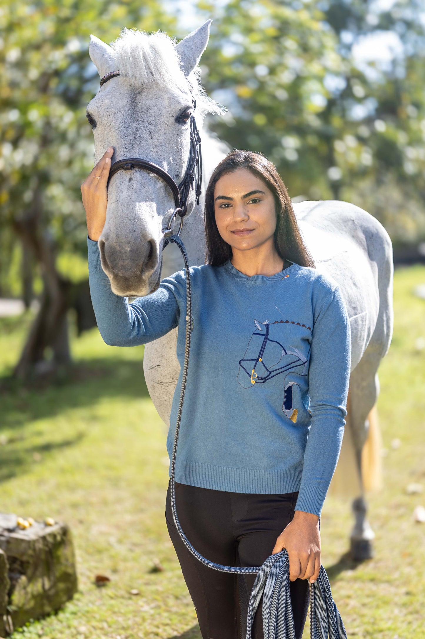 Pullover Careca Cavalo Rédeas - Azul