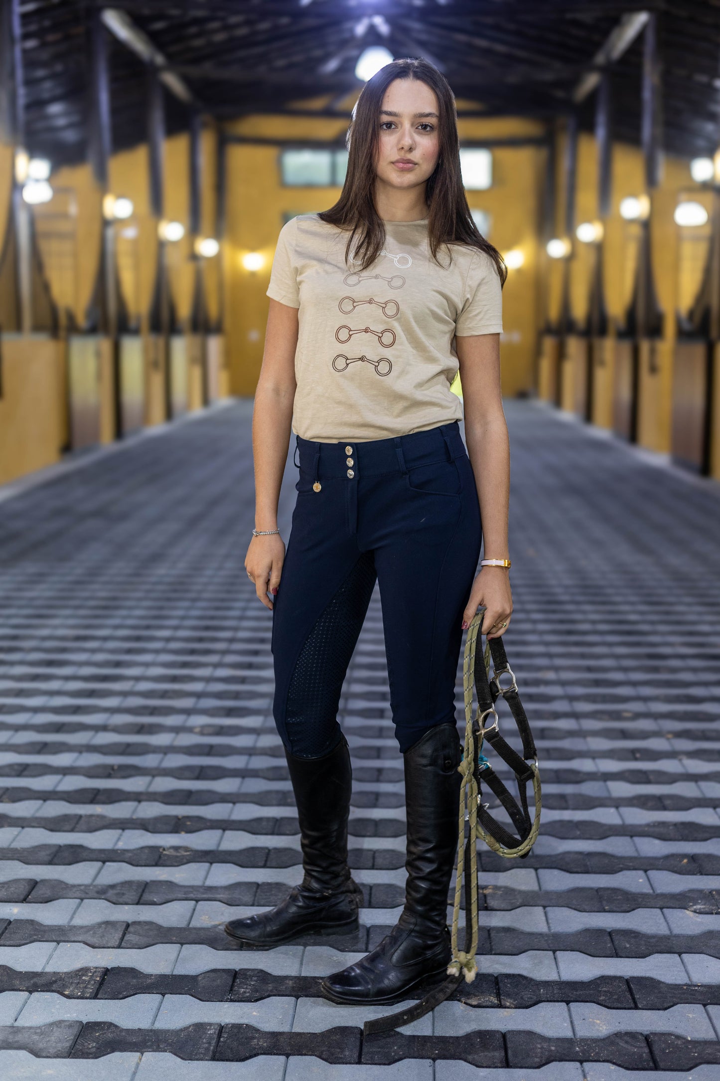 Camiseta Bridão Degradê