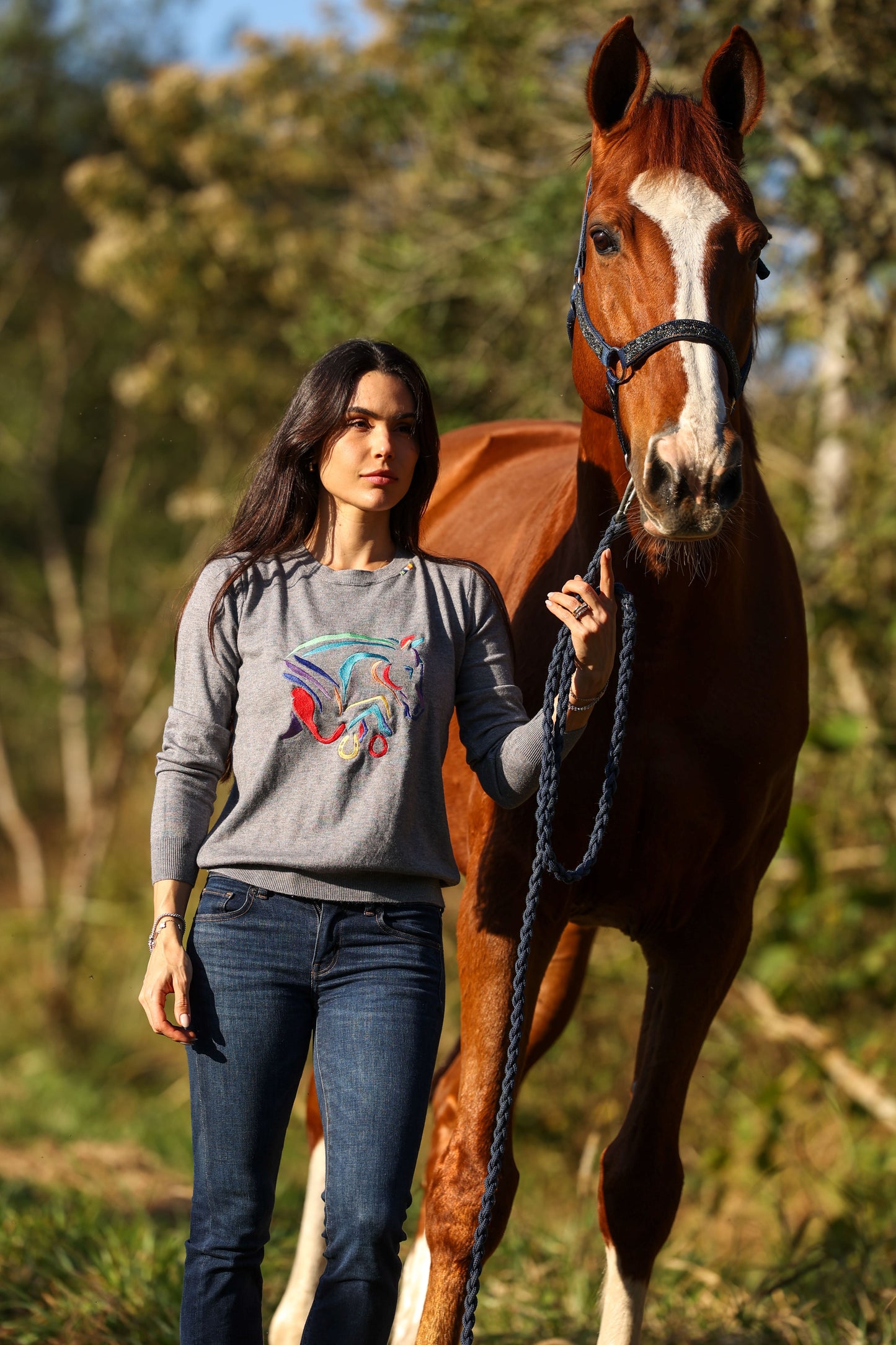 Pullover careca cavalo colorido