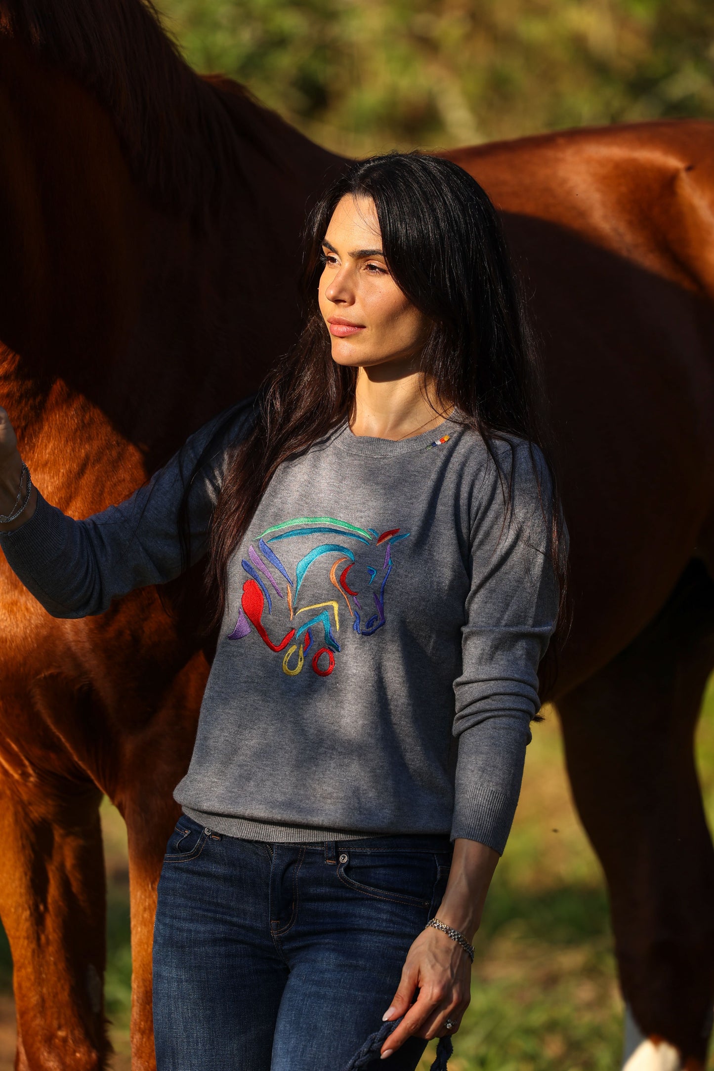 Pullover careca cavalo colorido