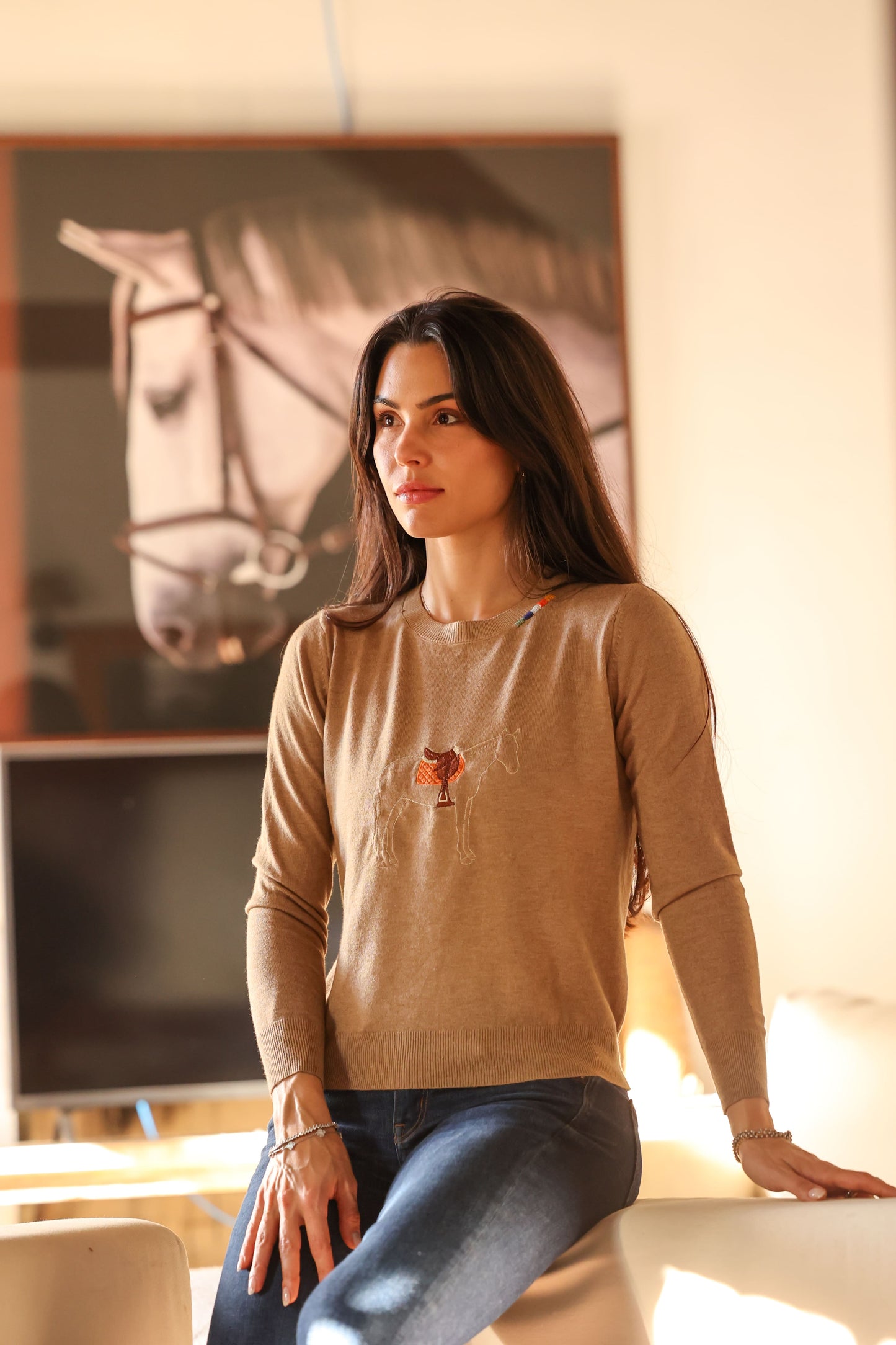 Pullover careca cavalo com sela