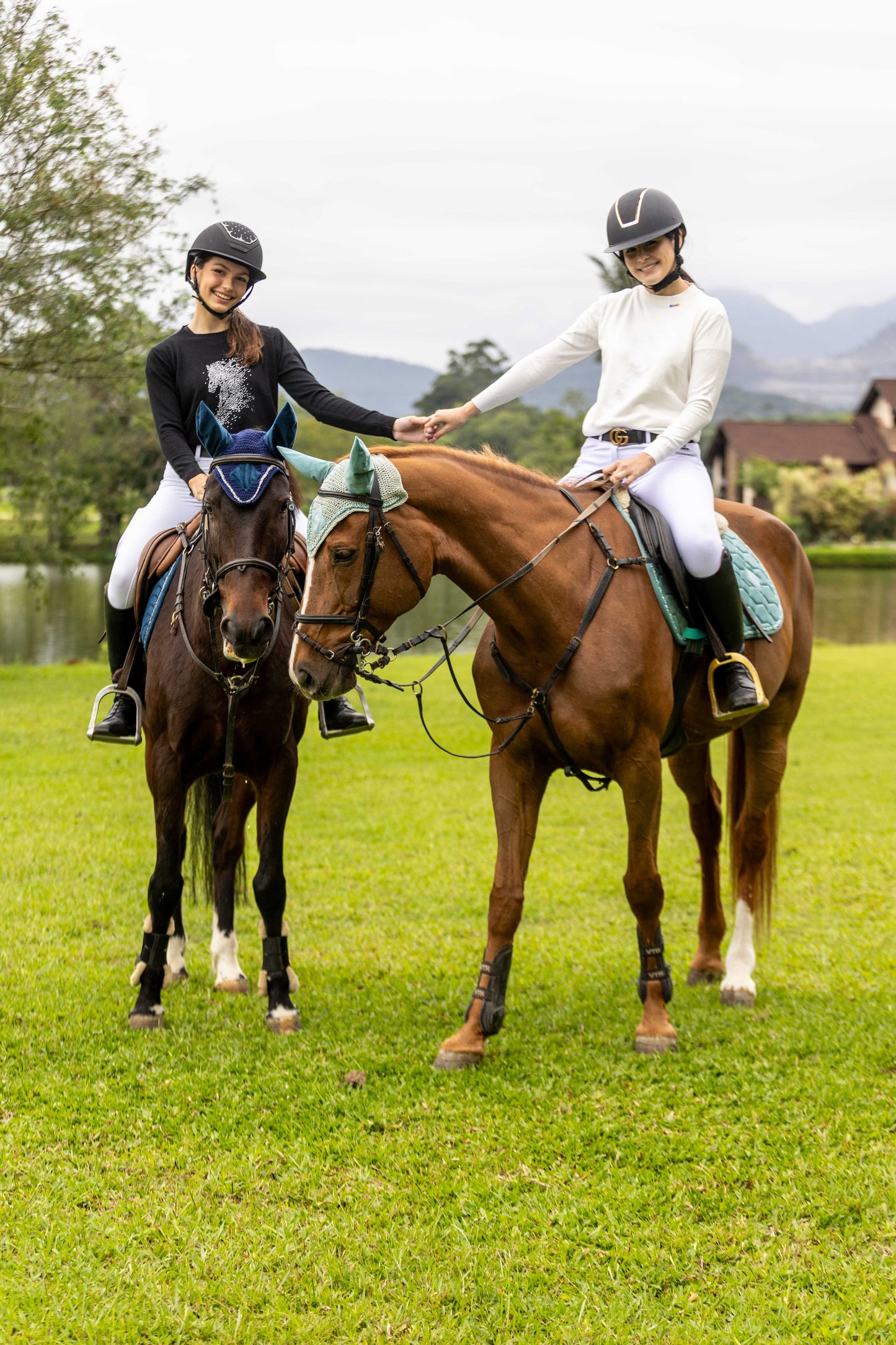 Pullover Careca - Cavalo esvoaçante