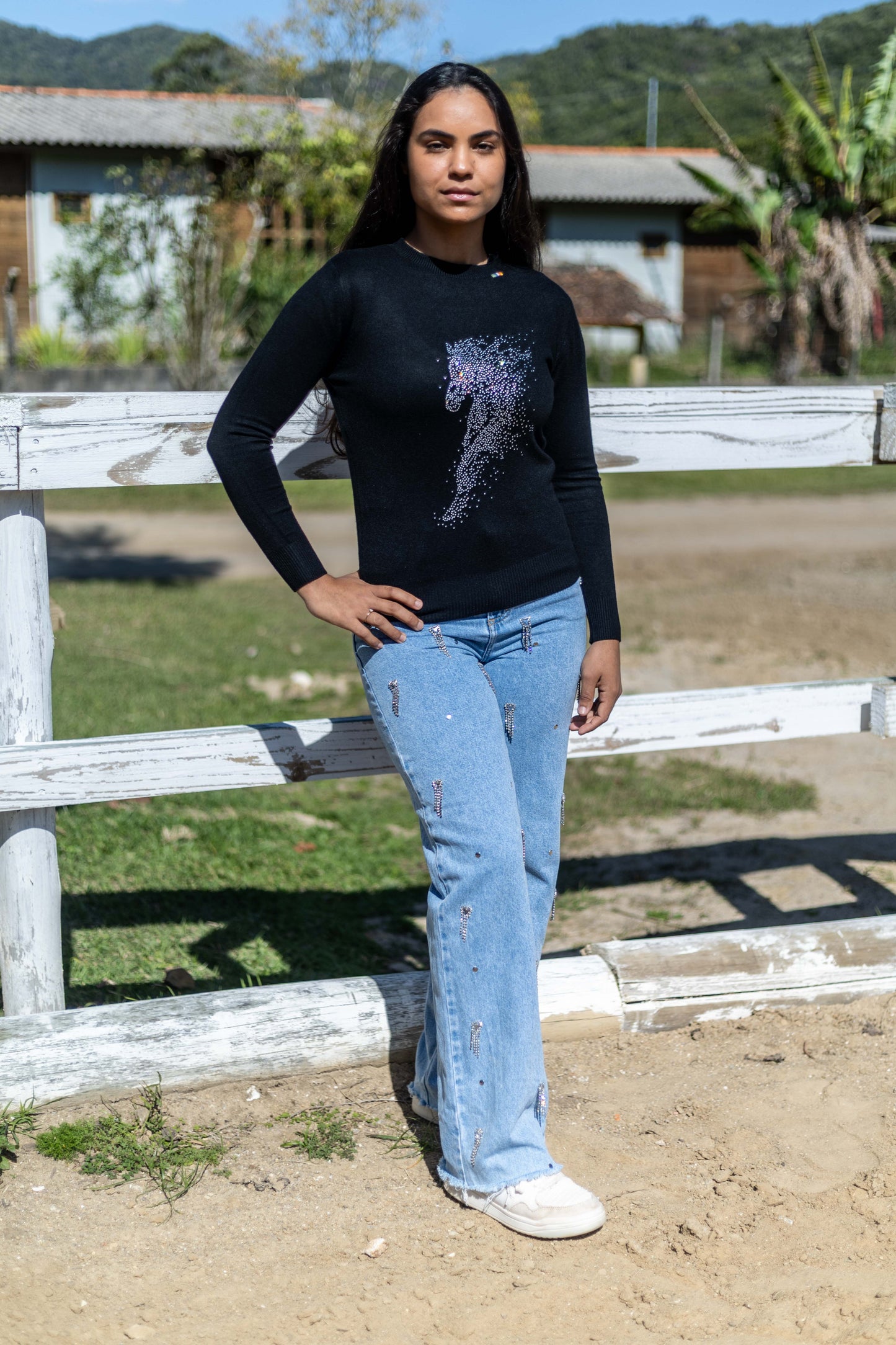 Pullover Careca Strass Cavalo Esvoaçante - Preto