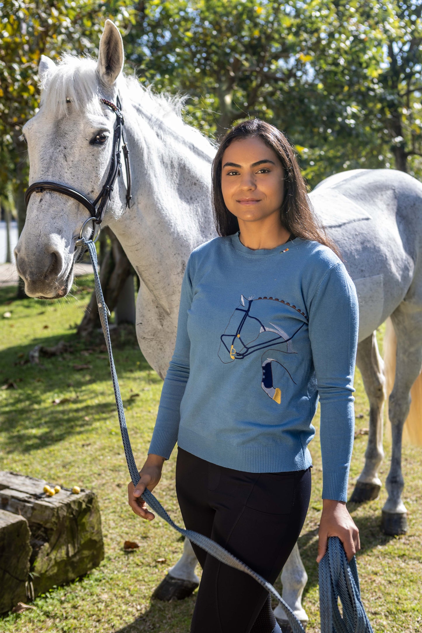 Pullover Careca Cavalo Rédeas - Azul