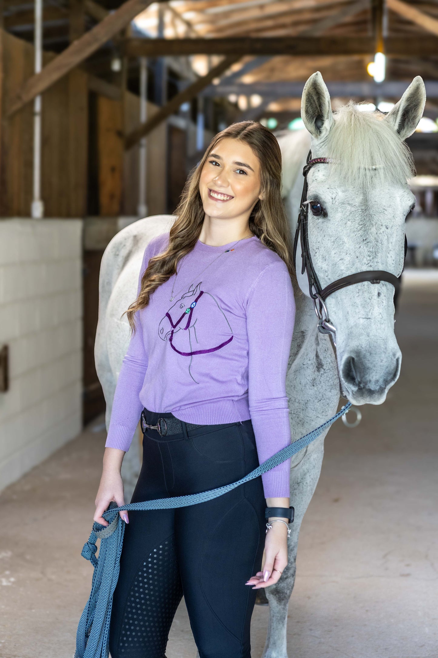 Pullover Careca Cavalo Perfil - Lilás