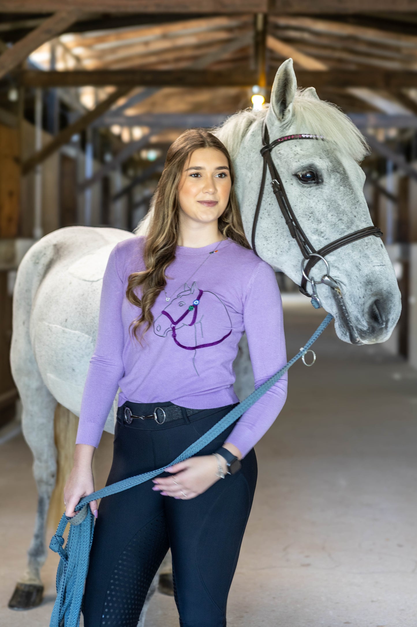 Pullover Careca Cavalo Perfil - Lilás