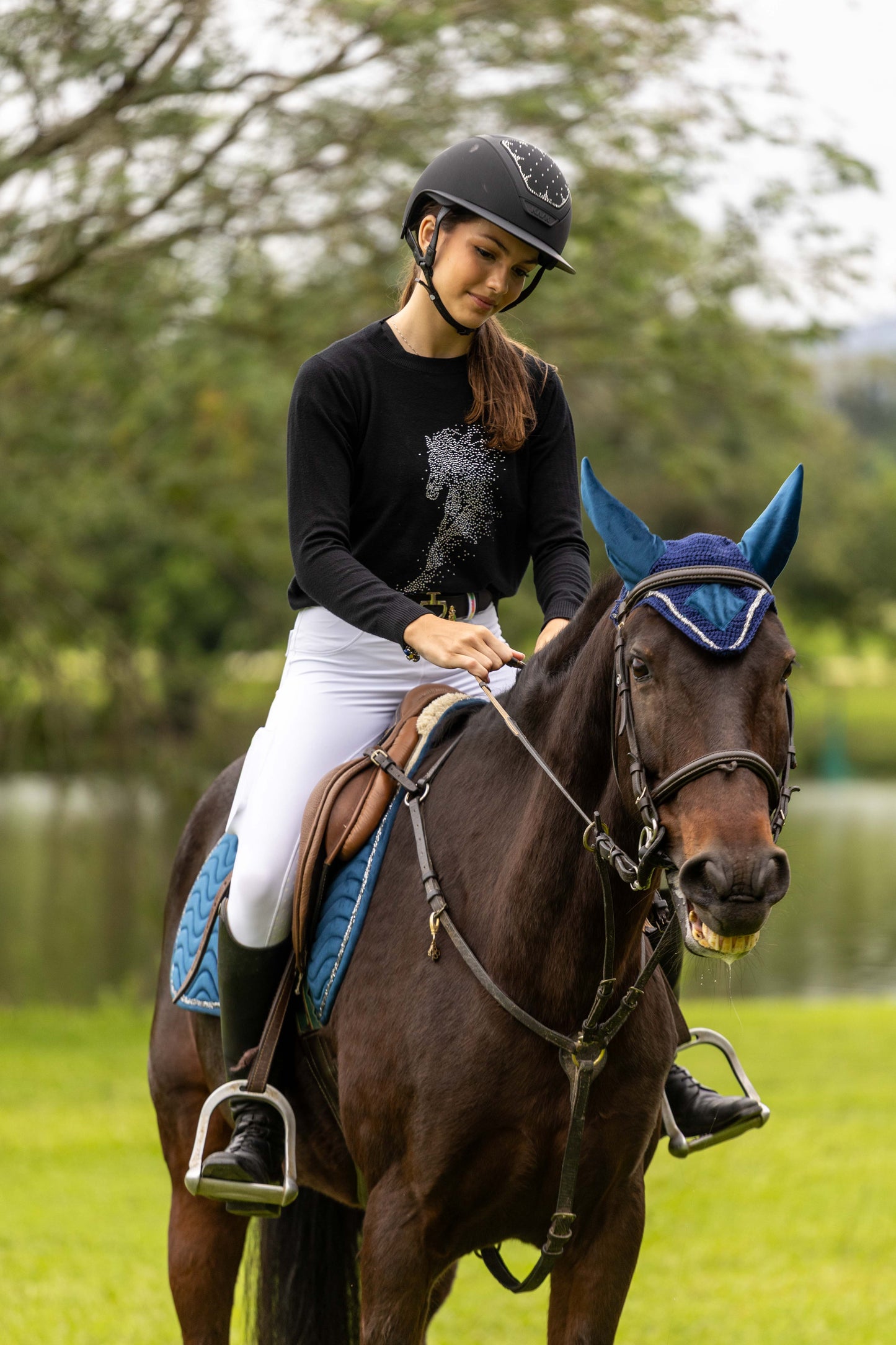 Pullover Careca - Cavalo esvoaçante