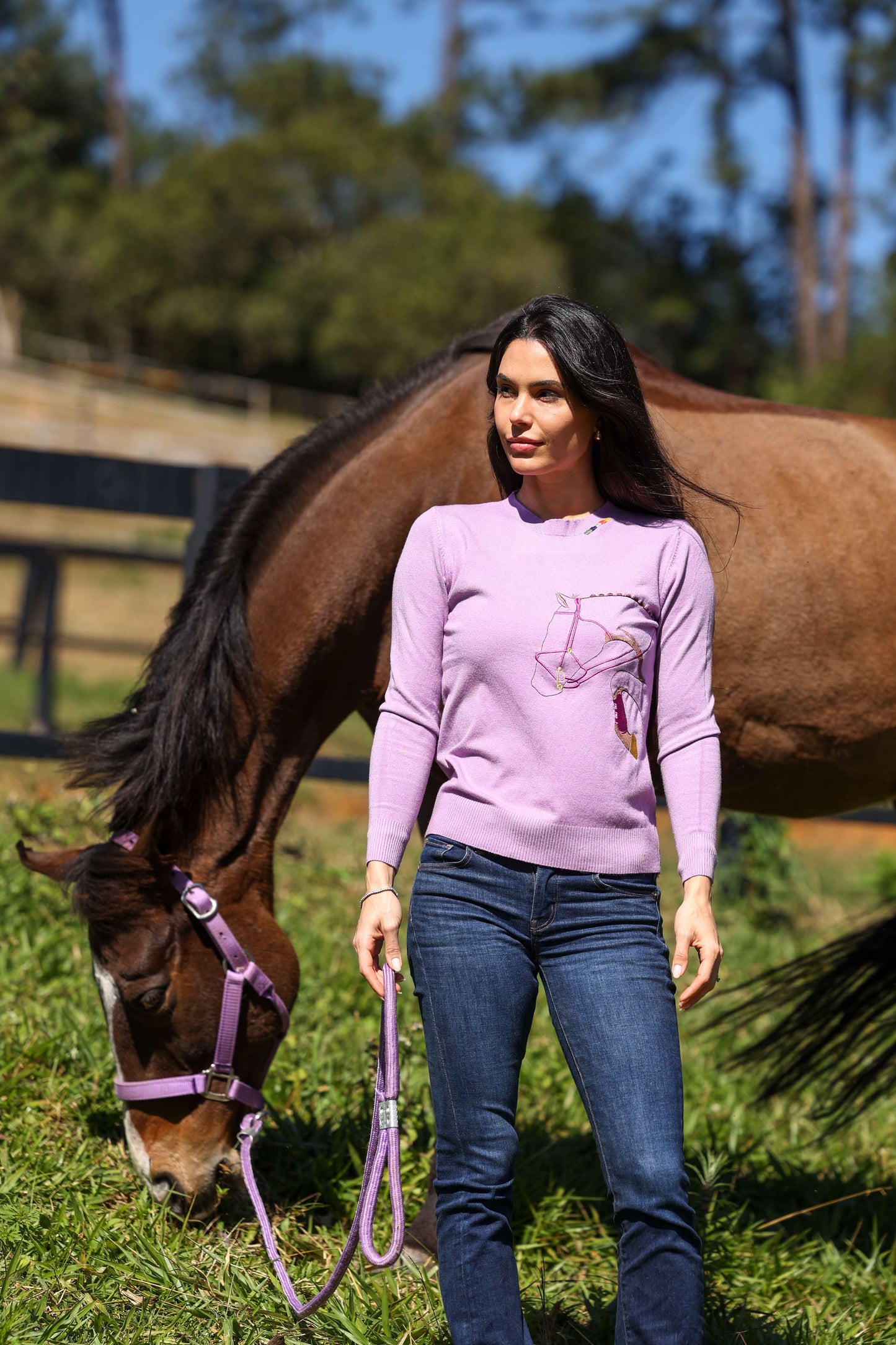 Pullover careca redeas