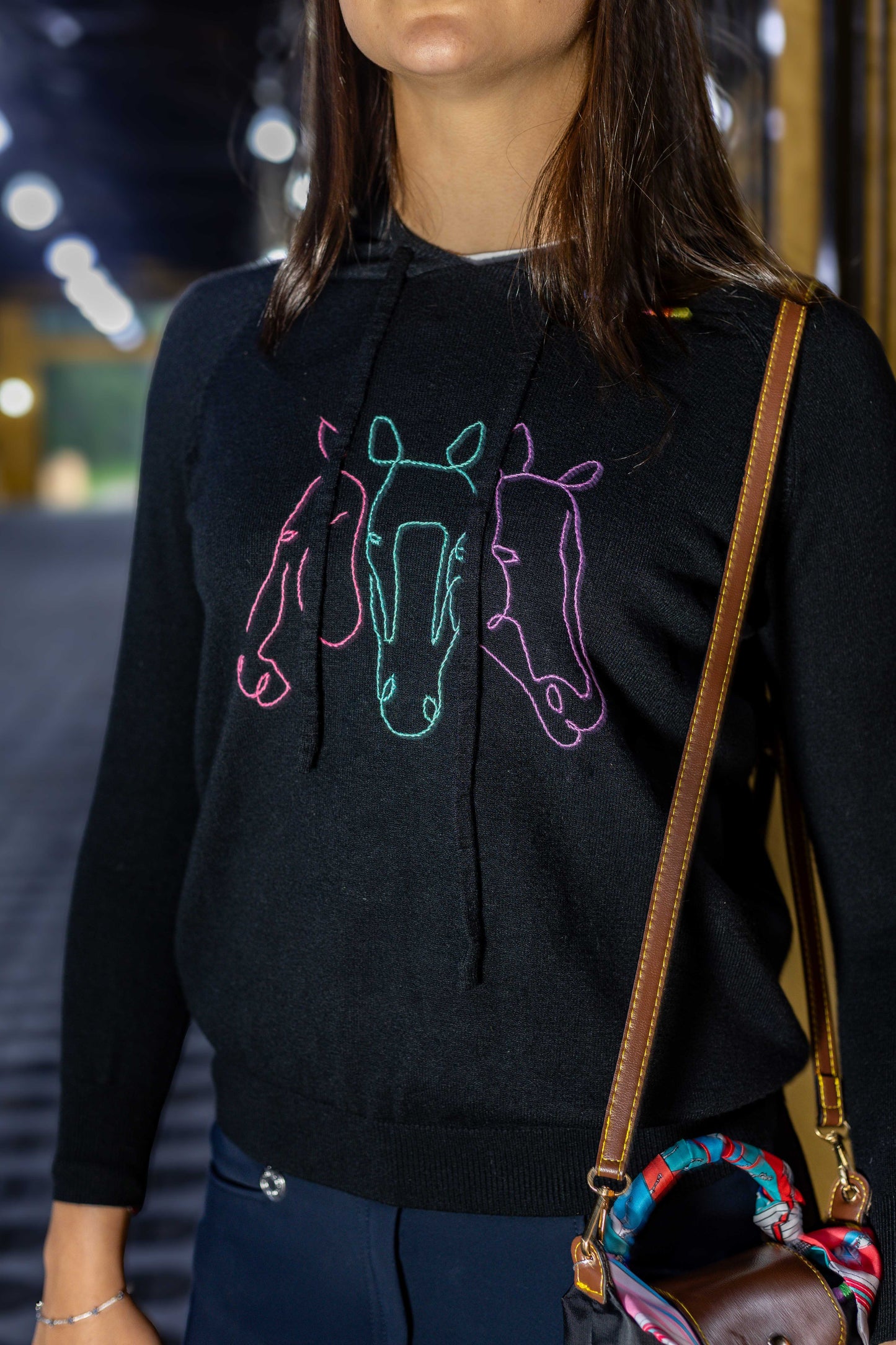 Pullover com capuz 3 cavalos