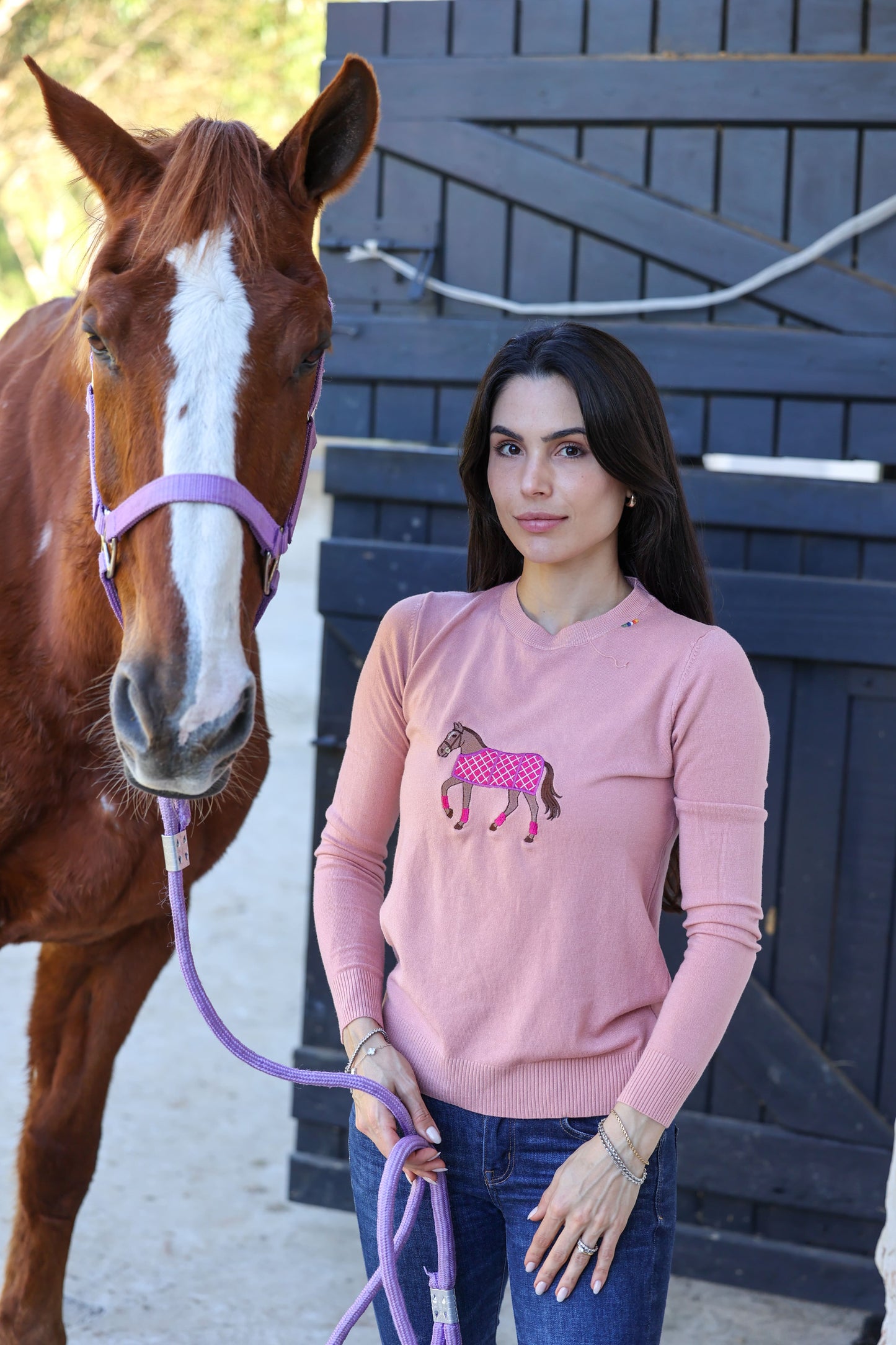 Pullover Careca - Cavalo Capa