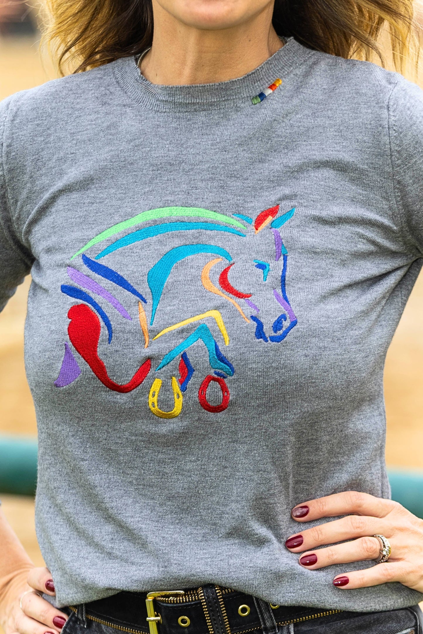 Pullover careca cavalo colorido