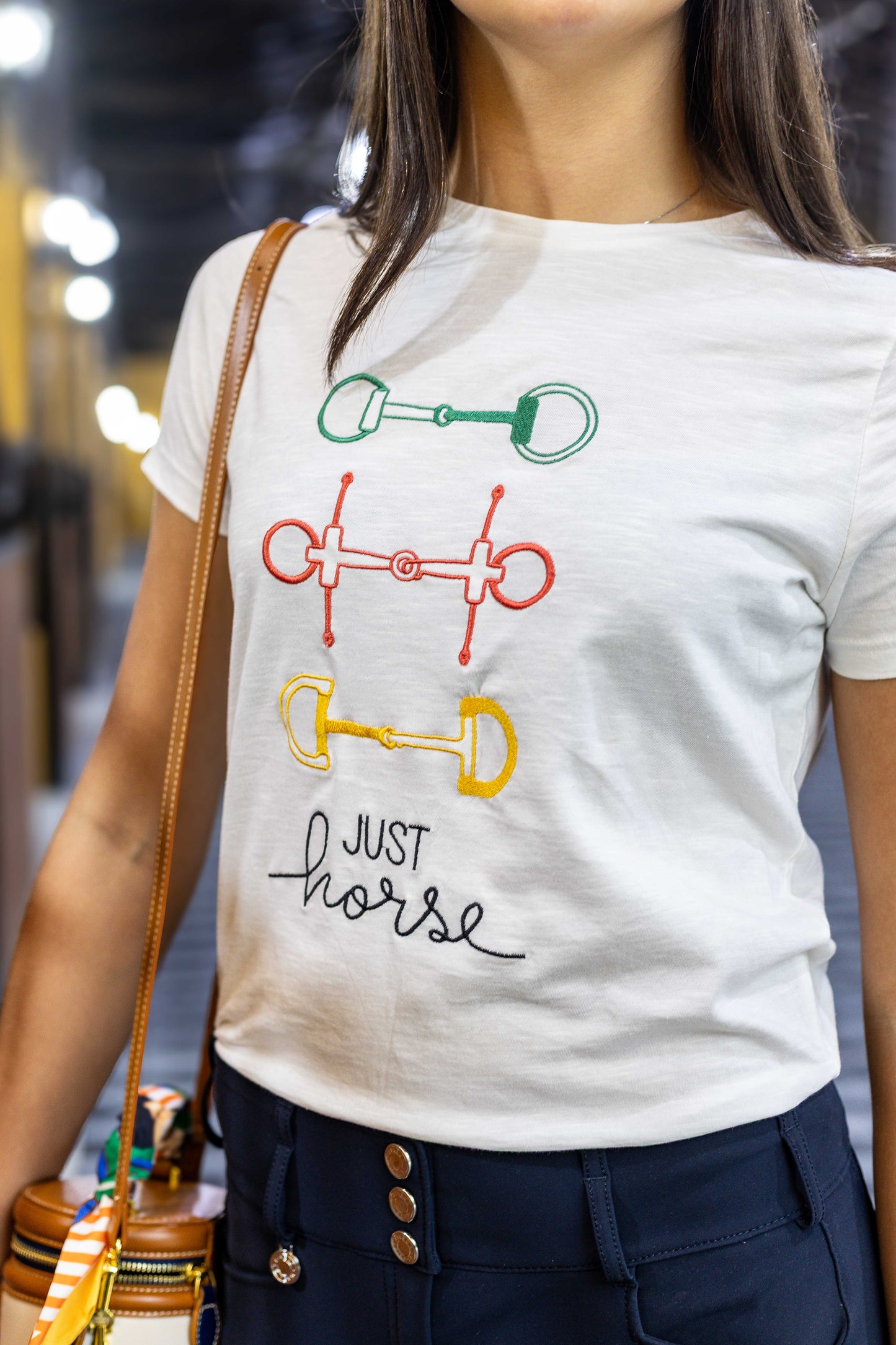 Camiseta Bridões Coloridos