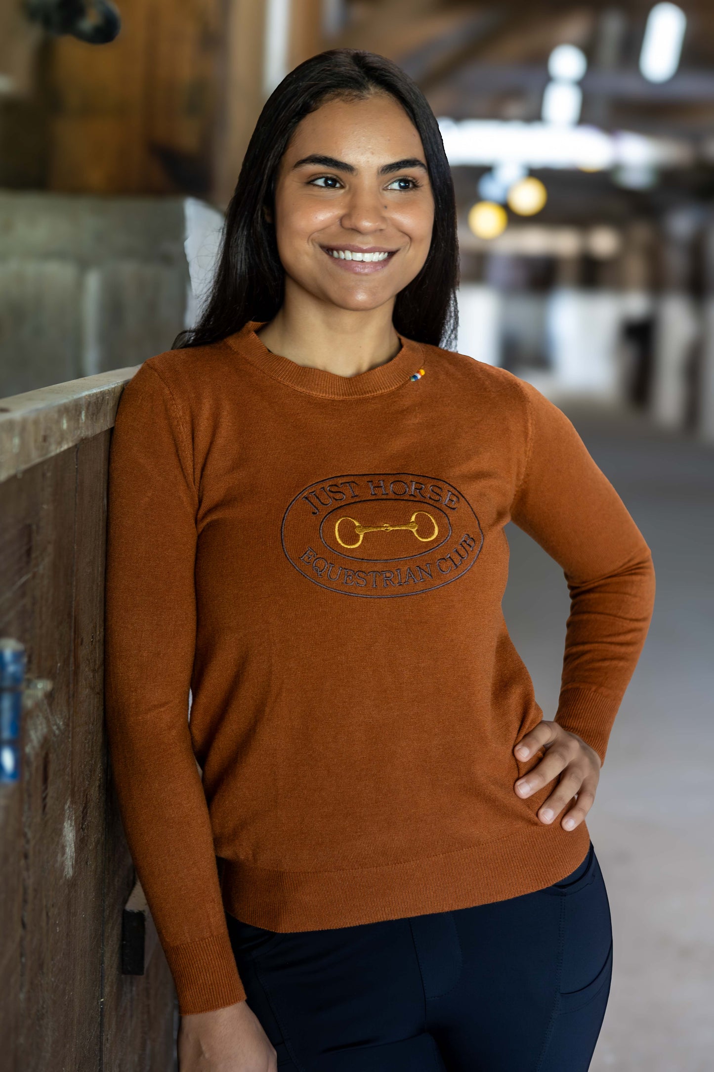 Pullover Careca Emblema Bridão - Ferrugem