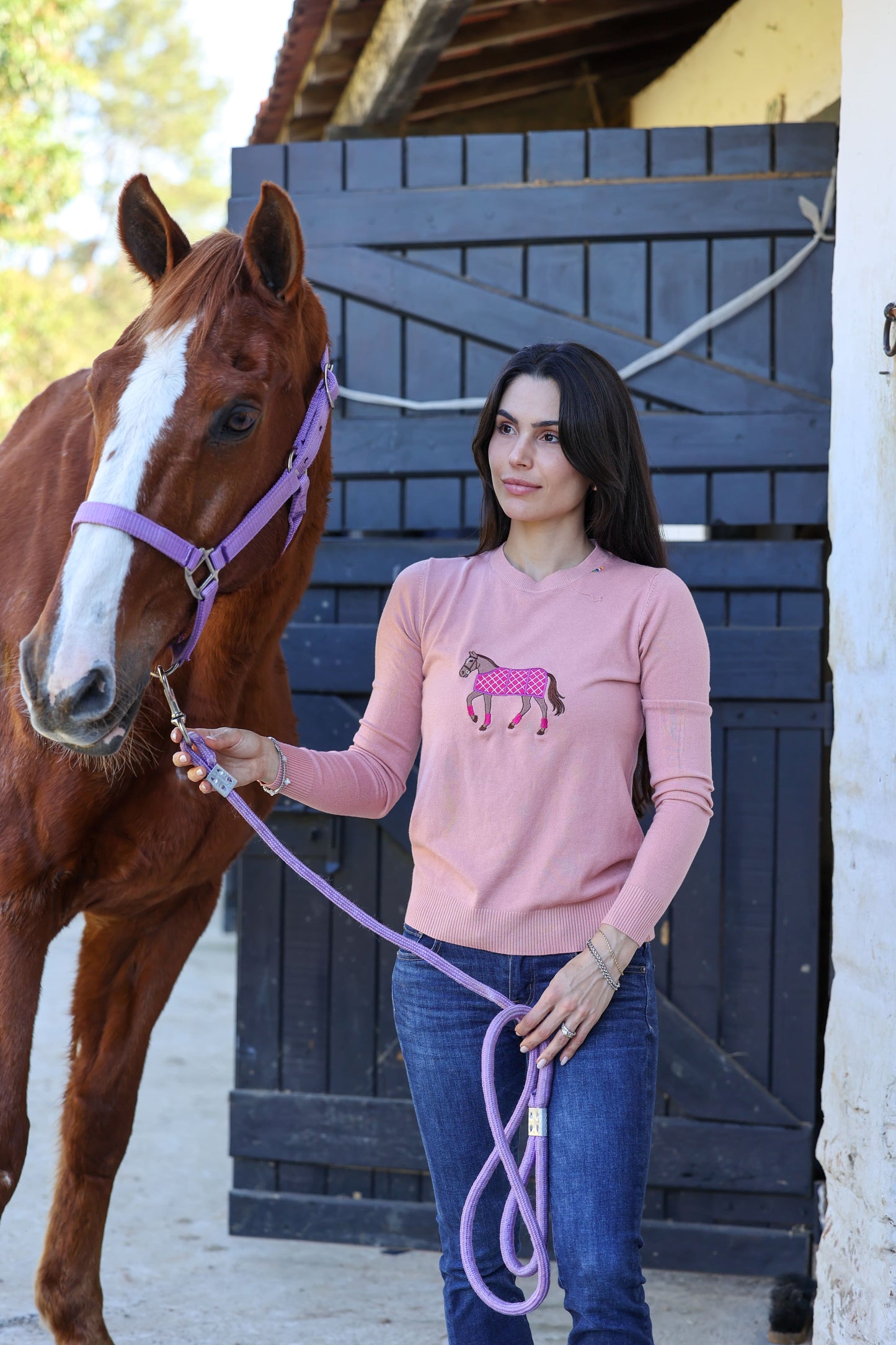 Pullover Careca - Cavalo Capa