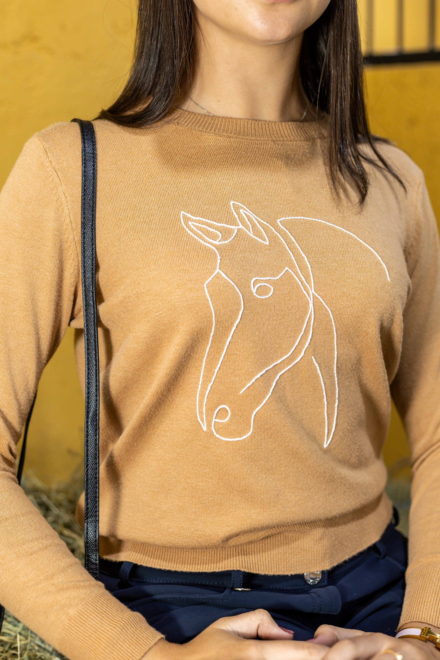 Pullover careca rosto cavalo