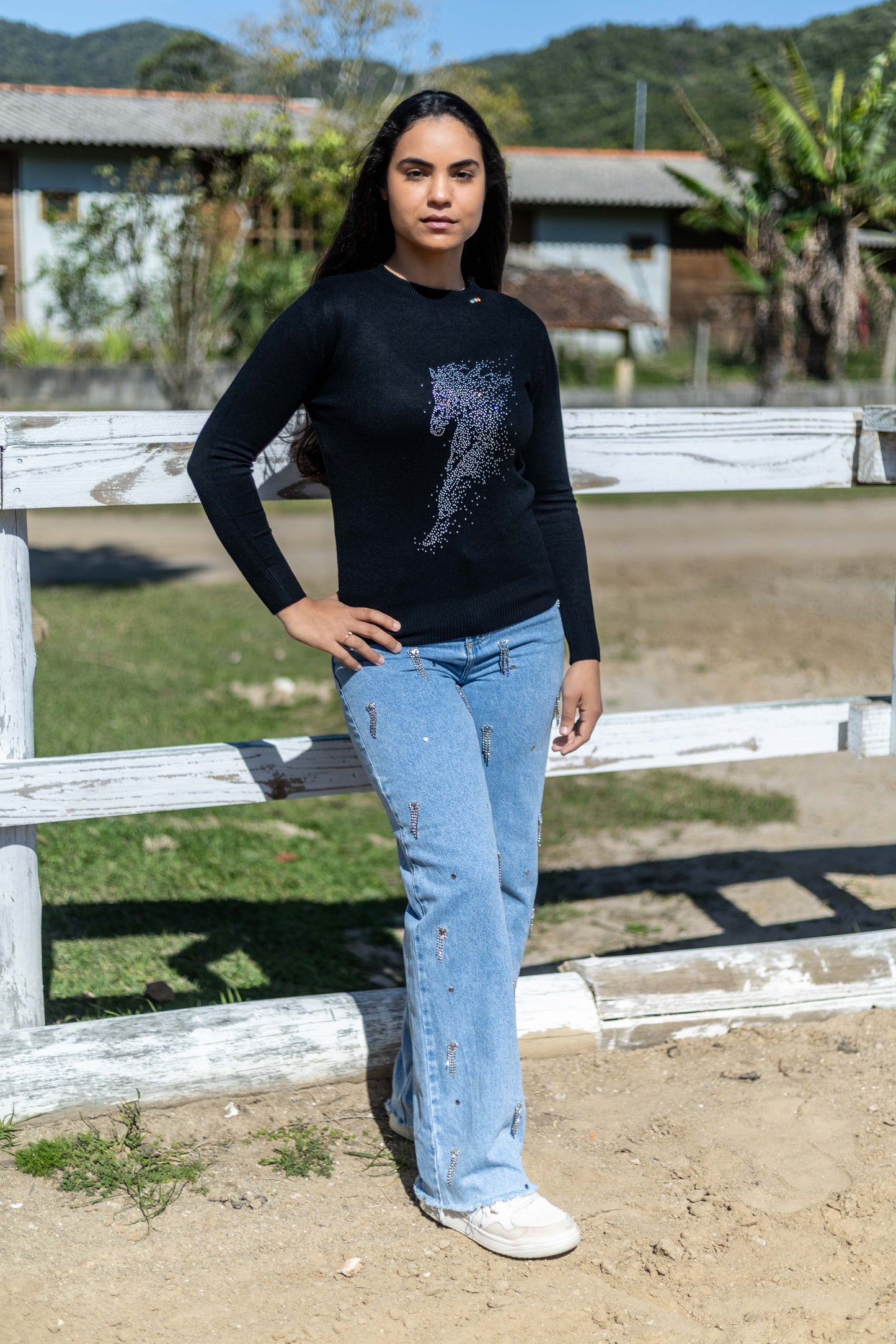 Pullover Careca Strass Cavalo Esvoaçante - Preto