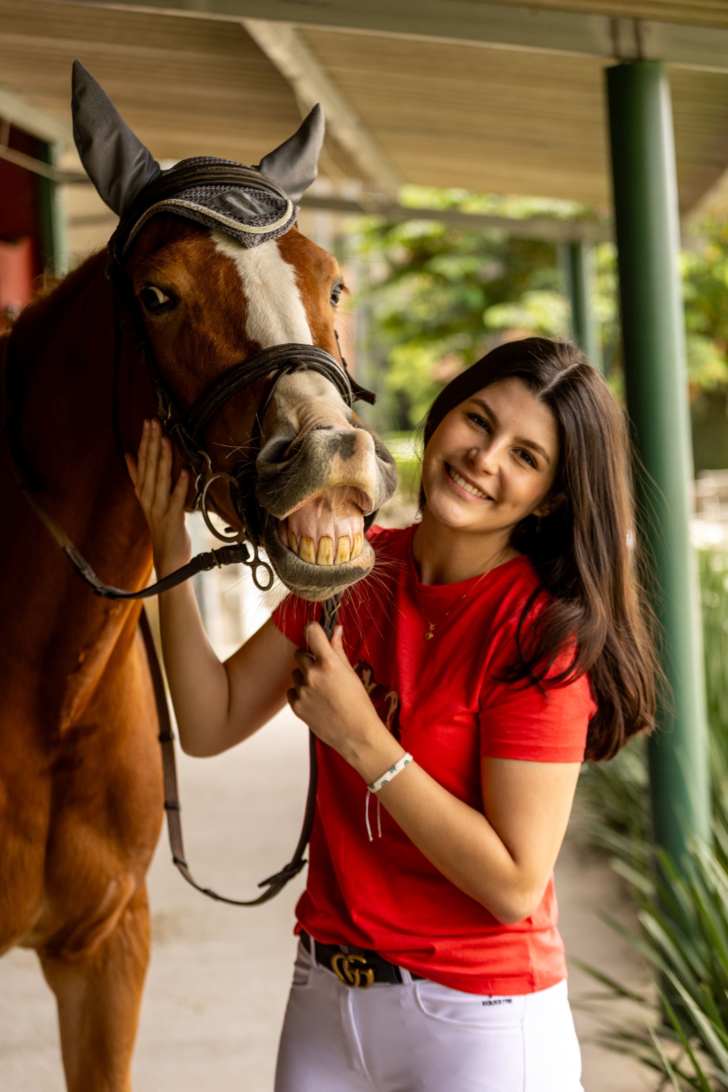 Camiseta Cavalo Malhado