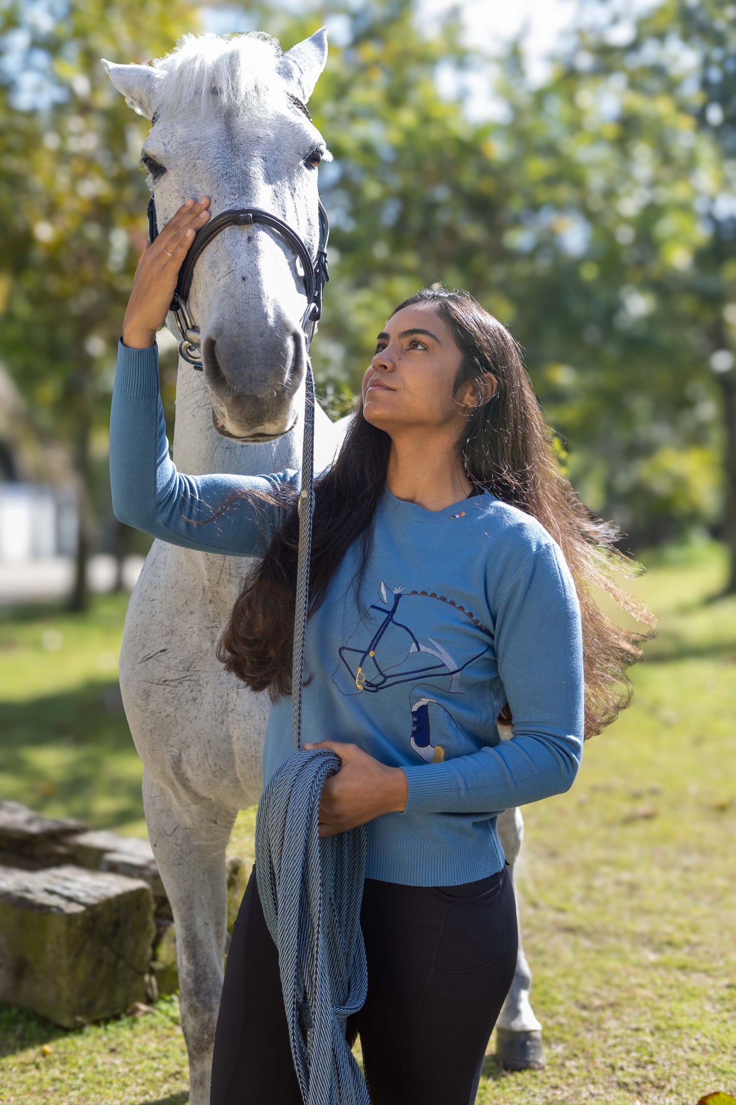 Pullover Careca Cavalo Rédeas - Azul